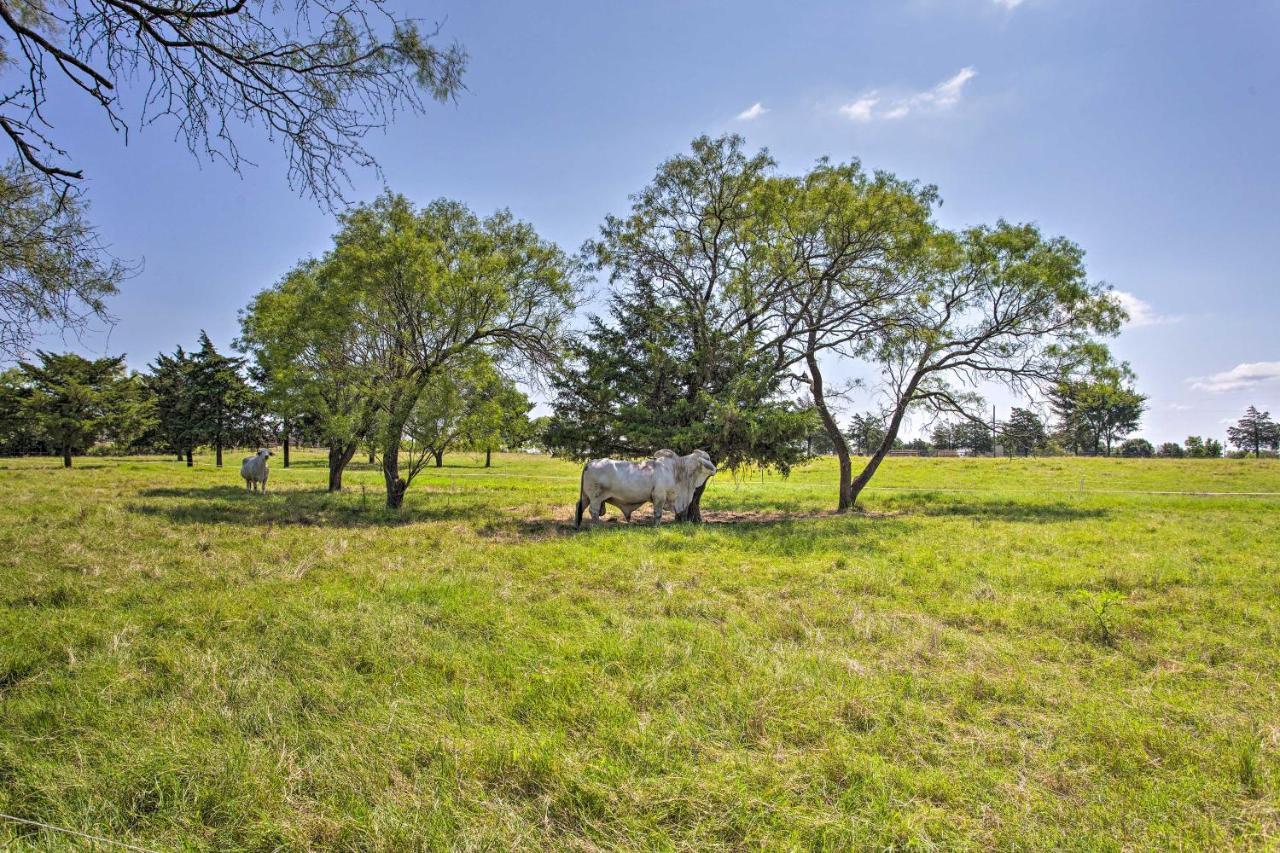 Texas Cabin On 130 Acres Walk To Lake Ray Roberts Collinsville Esterno foto